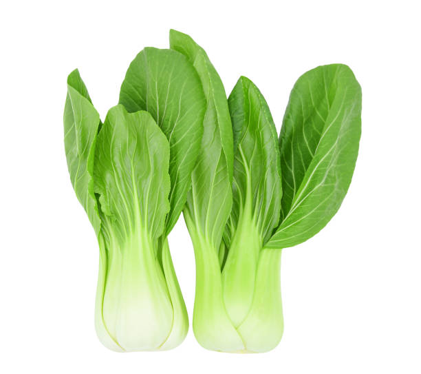 Pak Choi