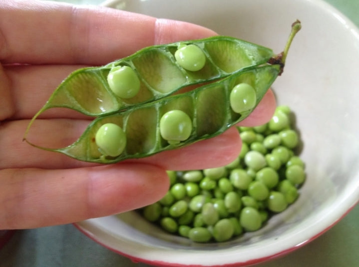 Gungo Peas / Pigeon Peas  (Un-shell)