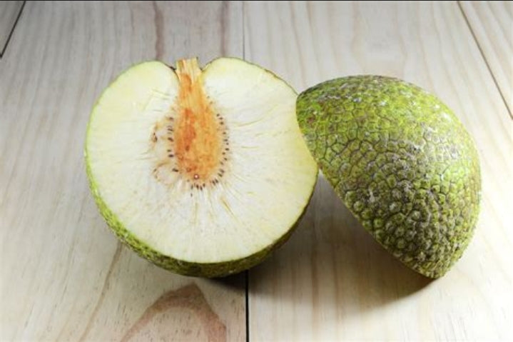 Breadfruit