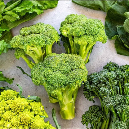 Broccoli