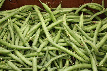 String Beans