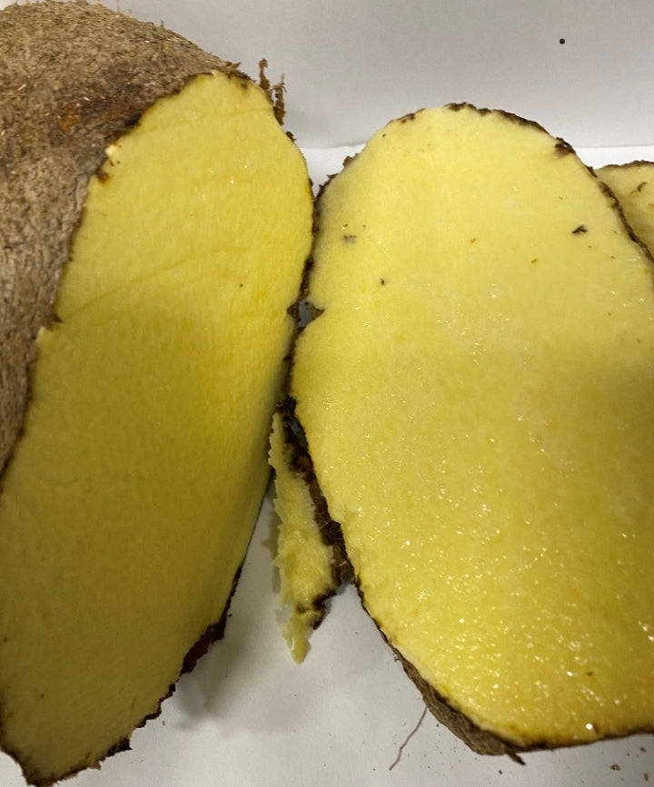 Yellow Yam