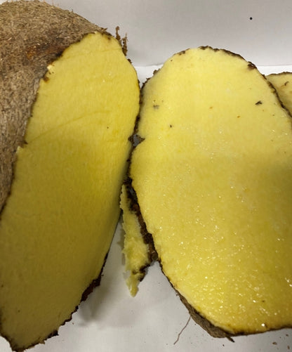 Yellow Yam