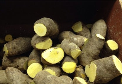 Yellow Yam