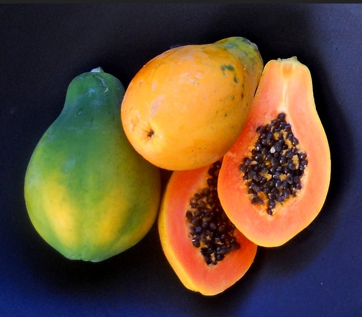 Papaya