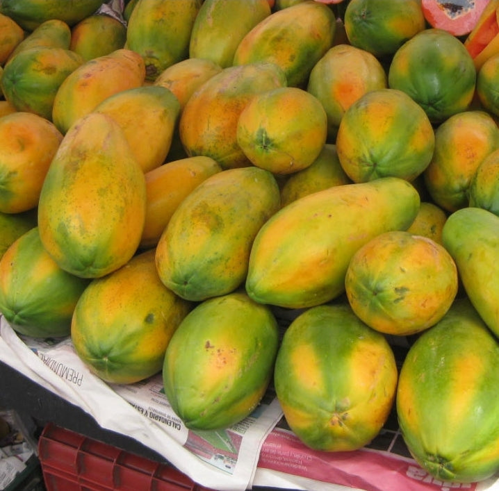 Papaya