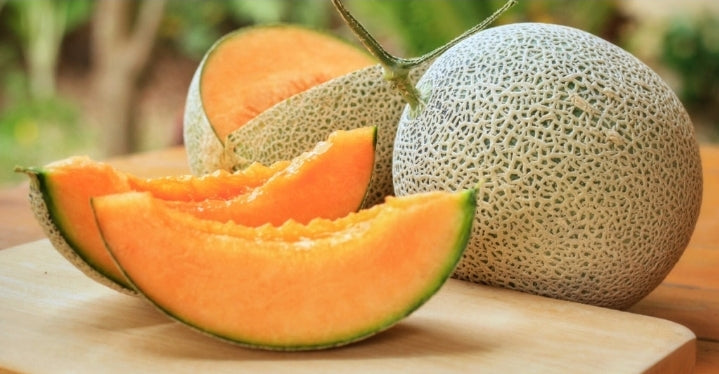 Cantaloupe