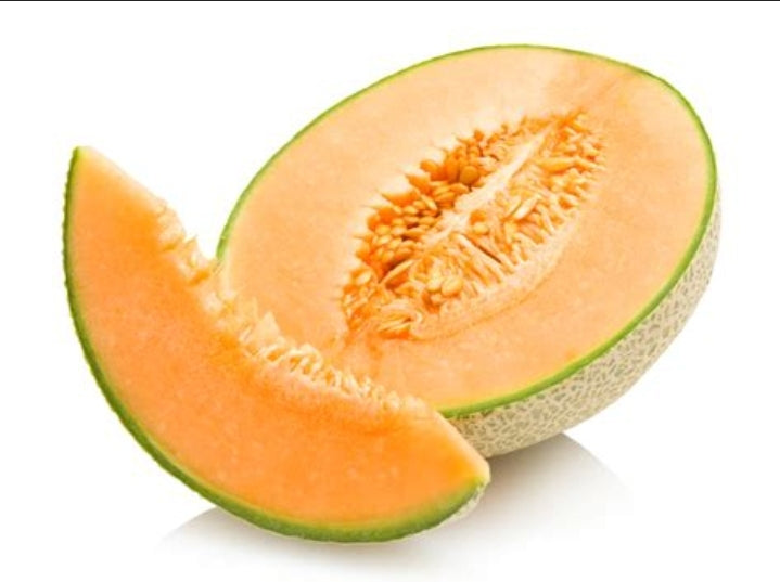Cantaloupe