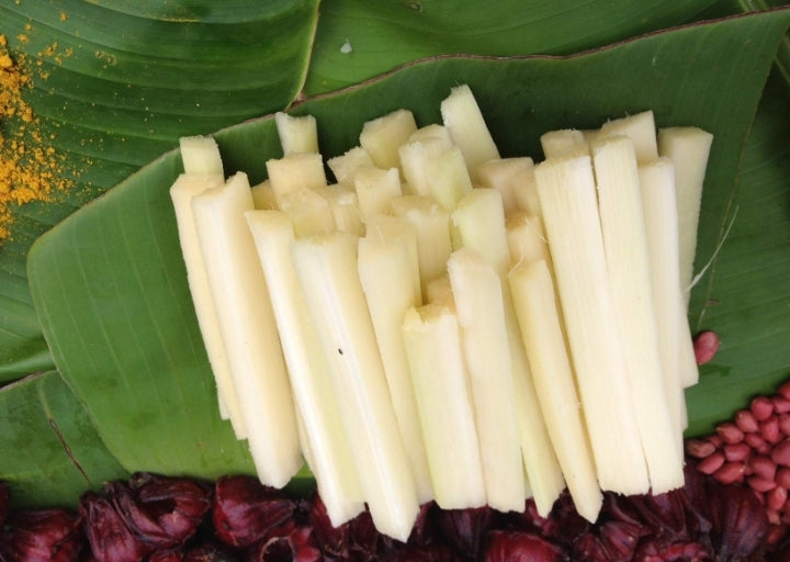 Sugar cane