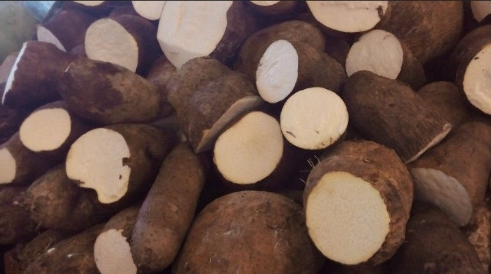 White Yam