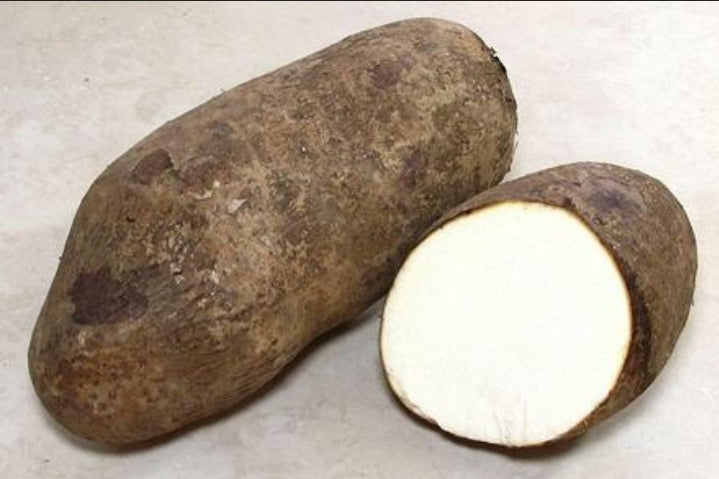 White Yam