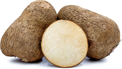White Yam