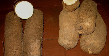 White Yam