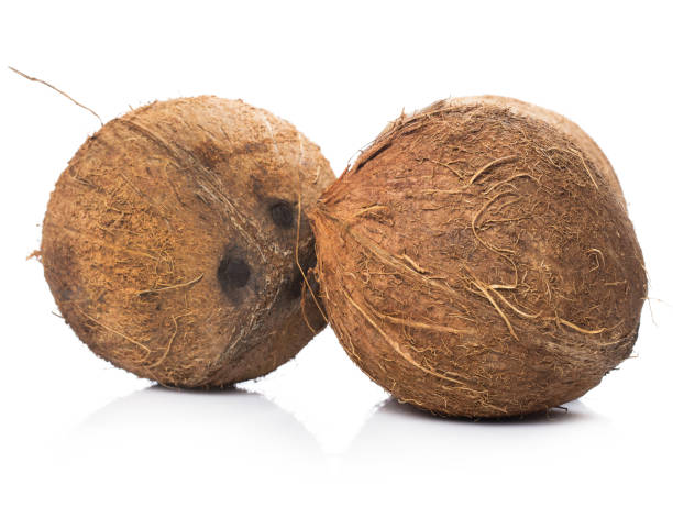 Dry Coconut