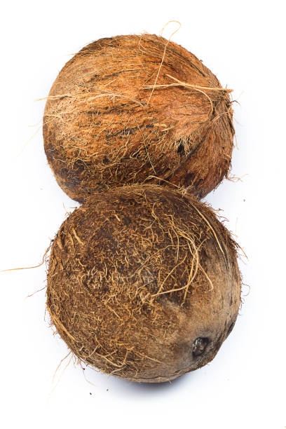 Dry Coconut