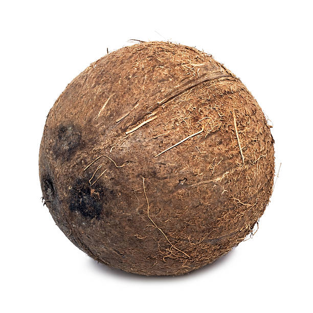 Dry Coconut