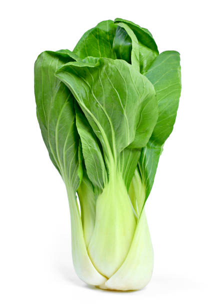 Pak Choi