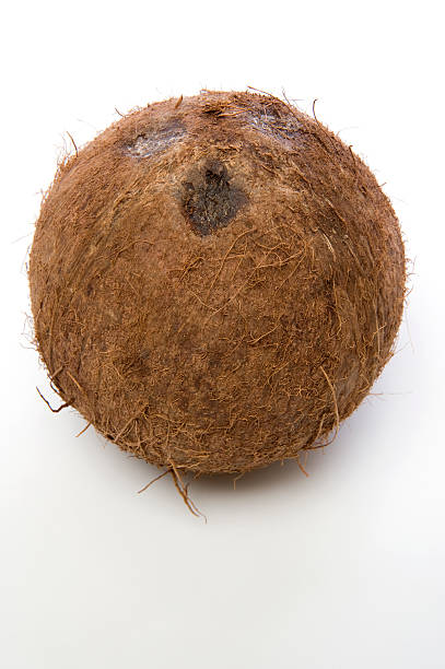 Dry Coconut