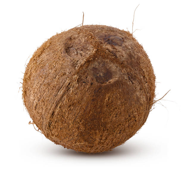Dry Coconut