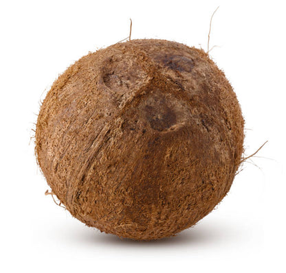 Dry Coconut