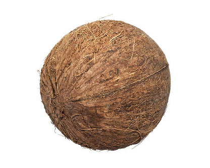 Dry Coconut