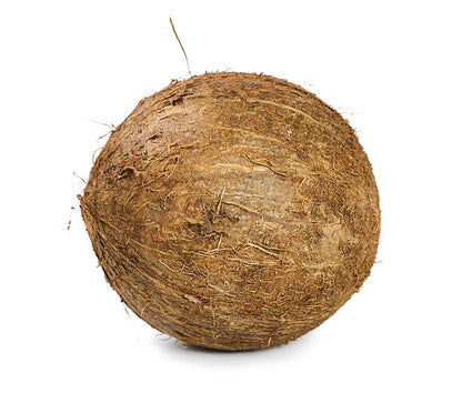Dry Coconut