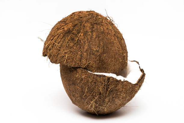 Dry Coconut