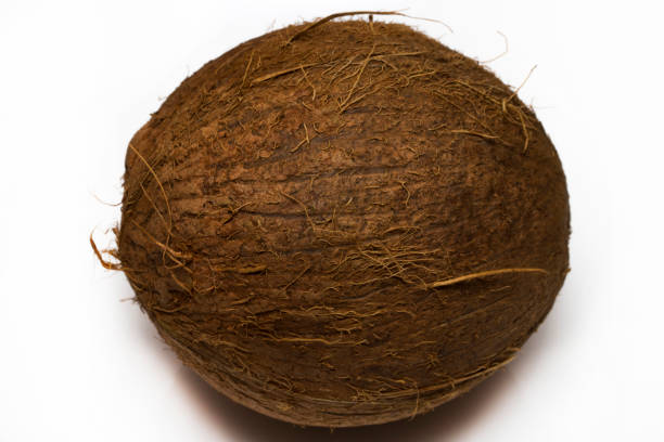 Dry Coconut