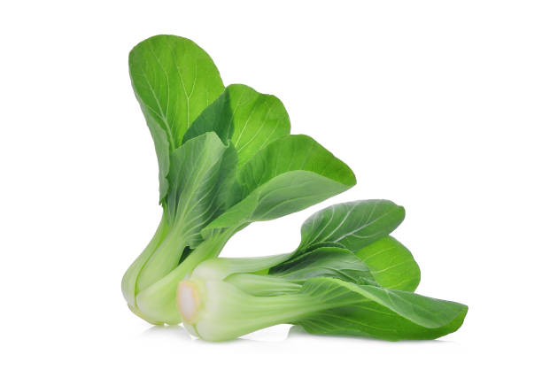 Pak Choi