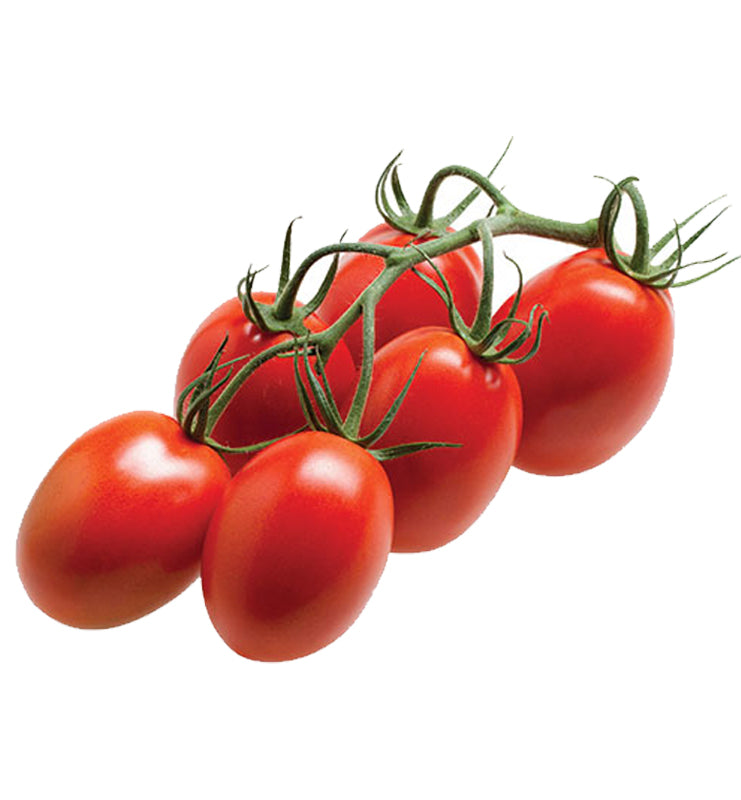 Tomato