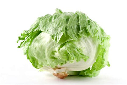 Lettuce