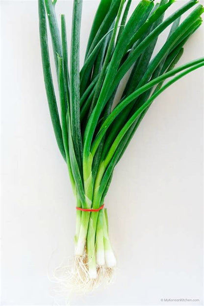 Scallion & Thyme (White Root)