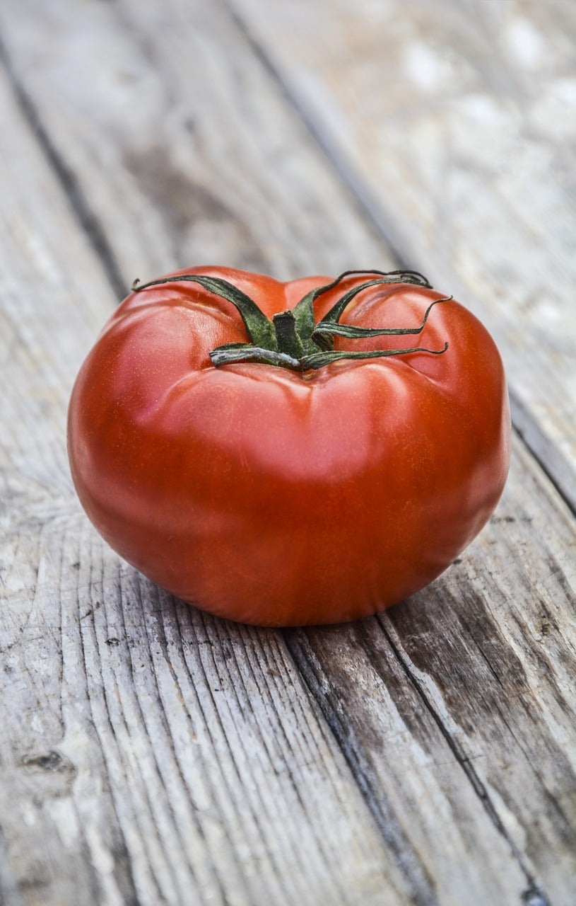 Tomato
